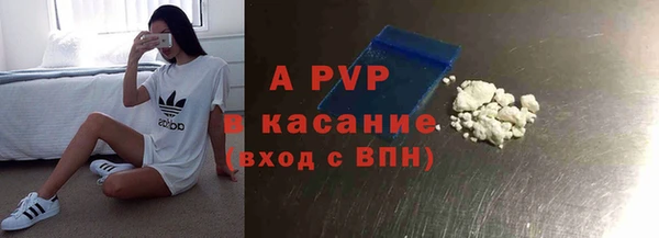 стаф Абаза
