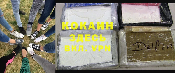 стаф Абаза