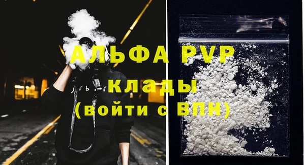 стаф Абаза