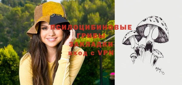 стаф Абаза