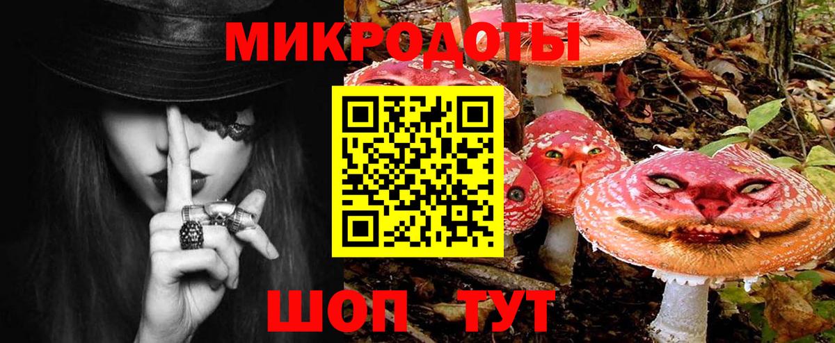 Галлюциногенные грибы Psilocybine cubensis Рассказово