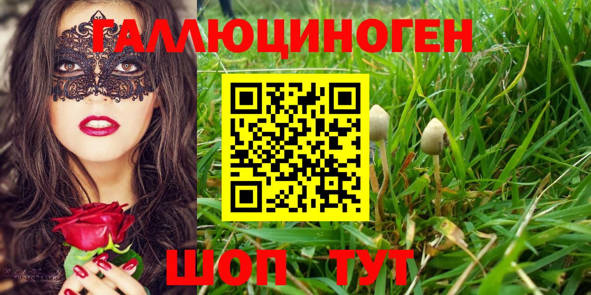 Галлюциногенные грибы Cubensis  Вход с VPN  Рассказово 