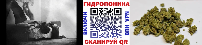 Бошки Шишки Amnesia  Рассказово 